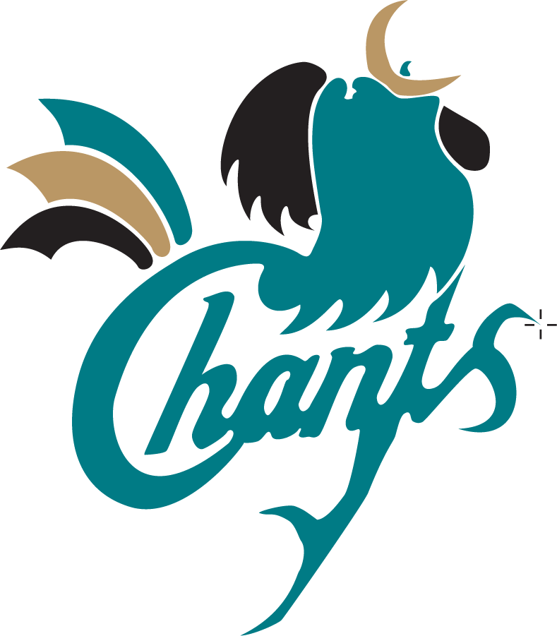Coastal Carolina Chanticleers 1995-2002 Primary Logo iron on transfers for clothing